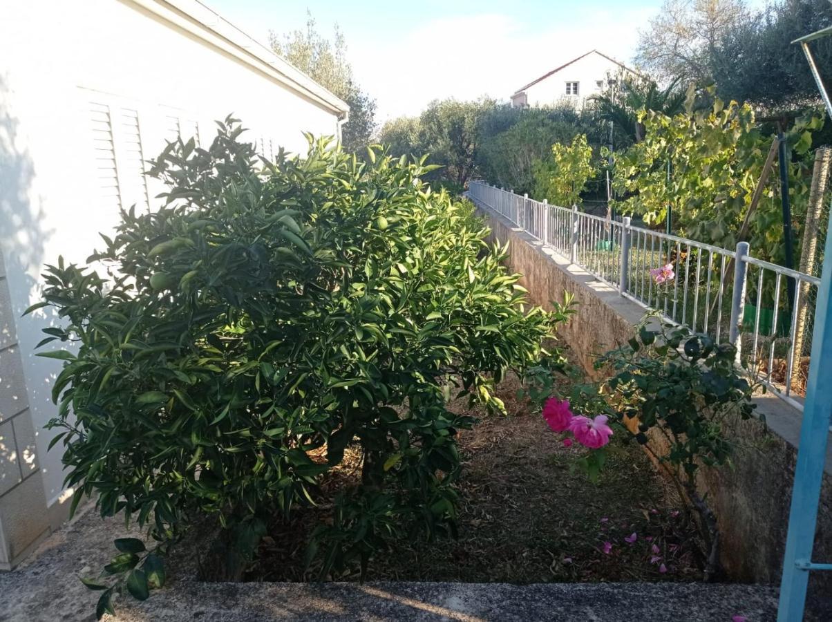 לומבארדה My Mediterranean Villa With Huge Garden And Own Parking מראה חיצוני תמונה